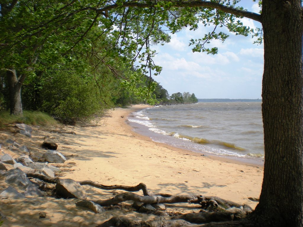 Beach at Historic Jamestown National Park, photo taken by Sarah Stierch