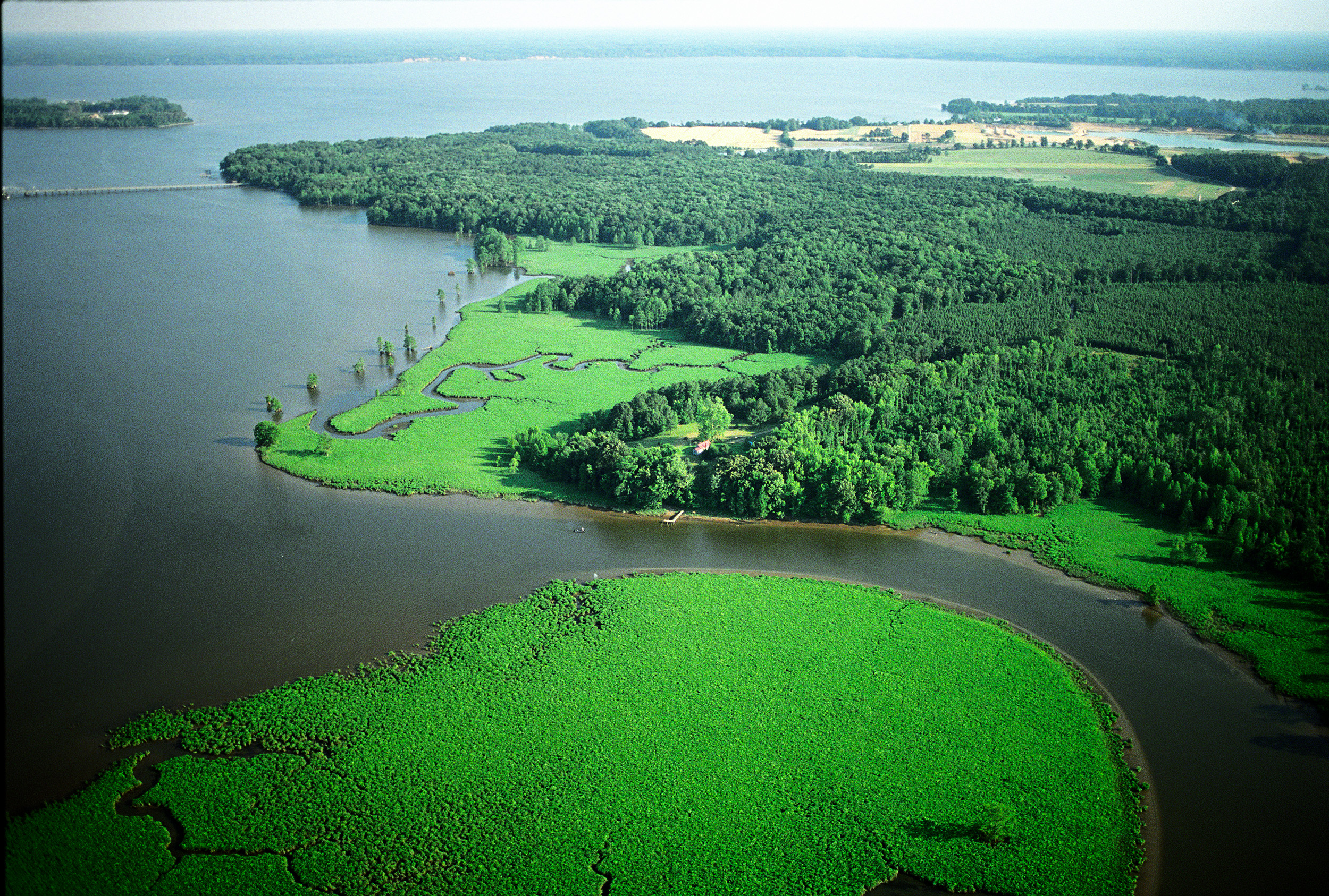 Aerial view of the Chickahominy River and wetlands as it flows into the James River. James City County on left and Charles City County From Negative 513 June 1998; photo by Dave Doody