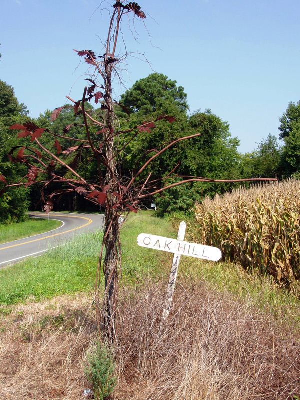 Oak Hill sign. Photo courtesy Judy Ledbetter